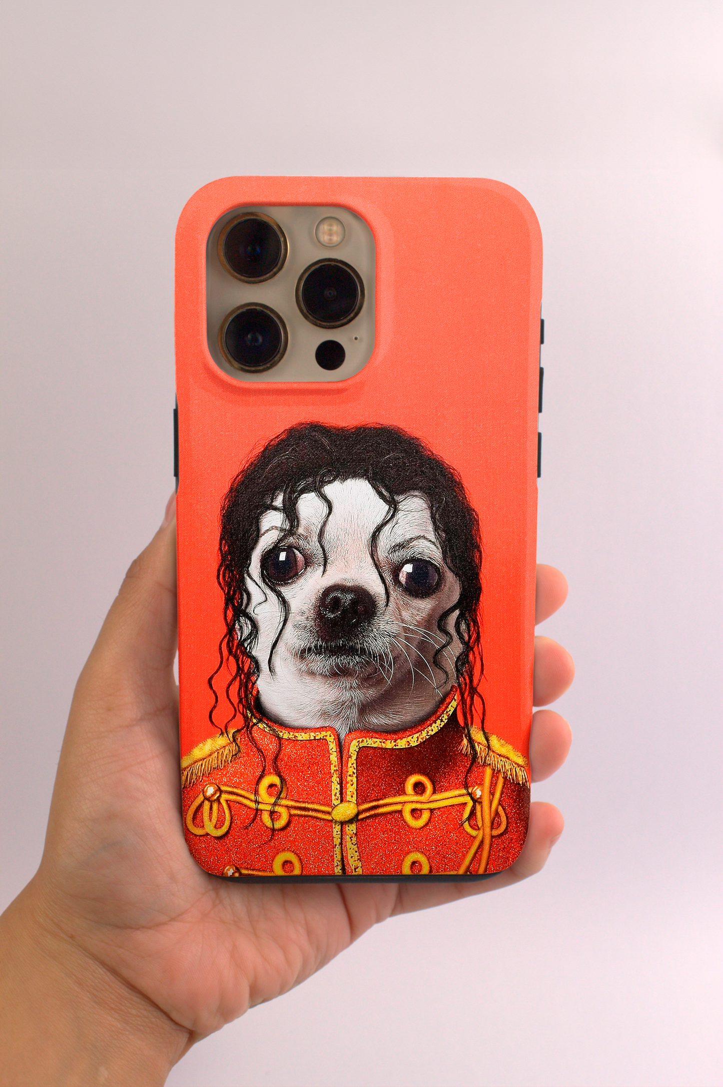 Chihuahua Jackson