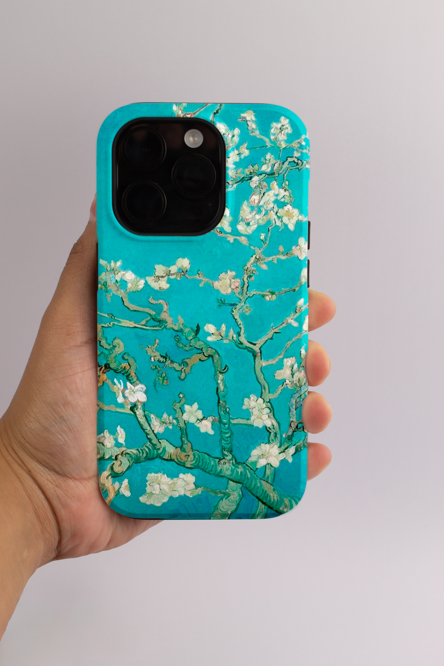 Almond Blossom