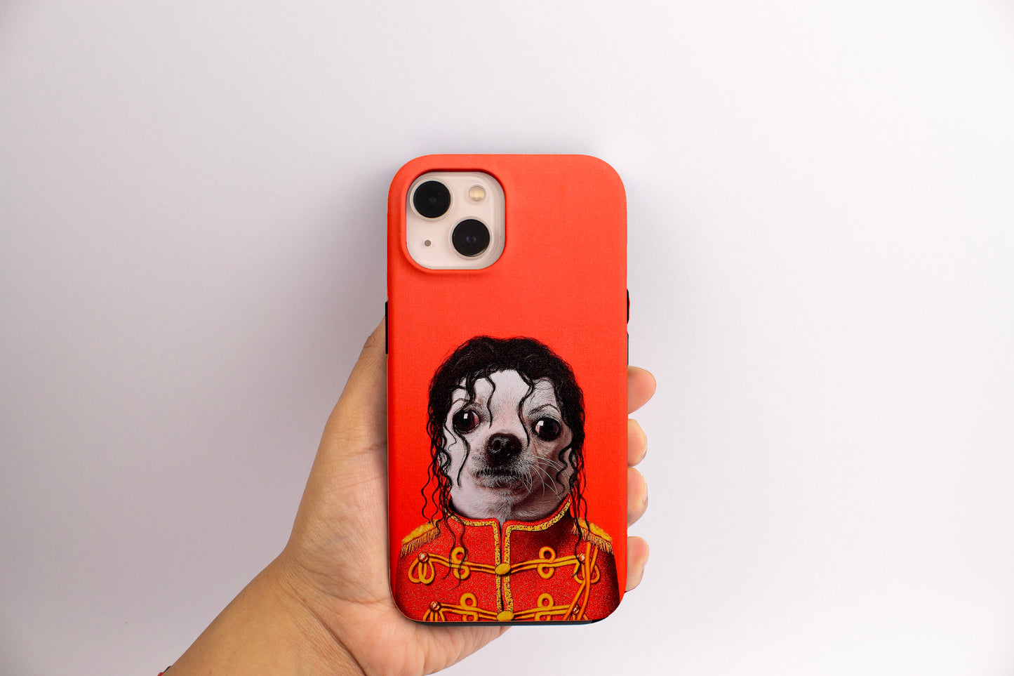 Chihuahua Jackson