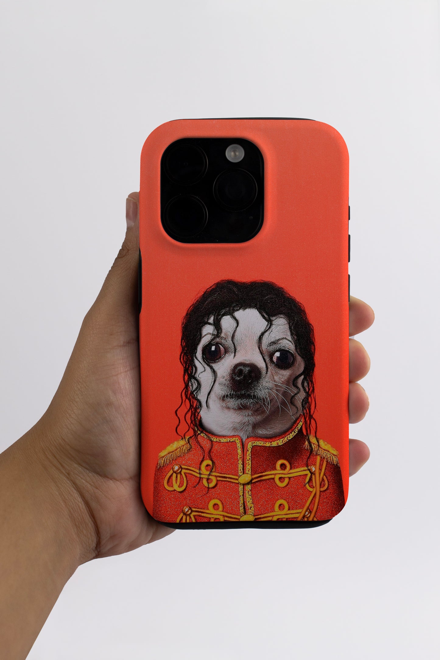 Chihuahua Jackson