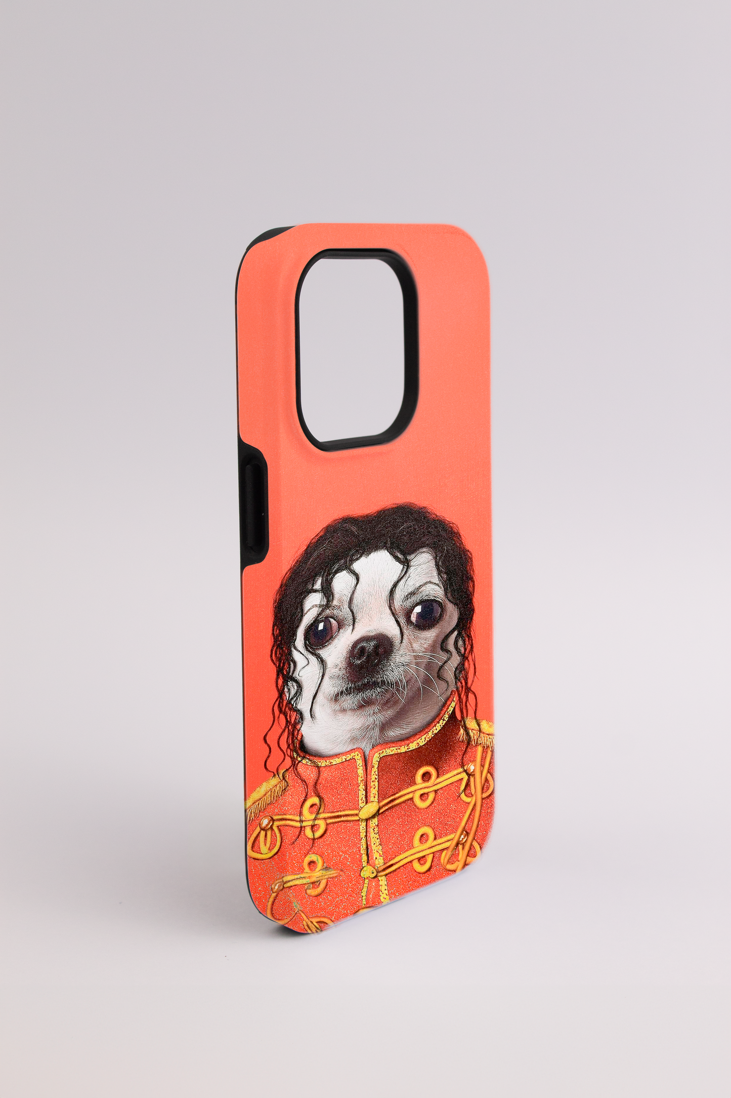 Chihuahua Jackson