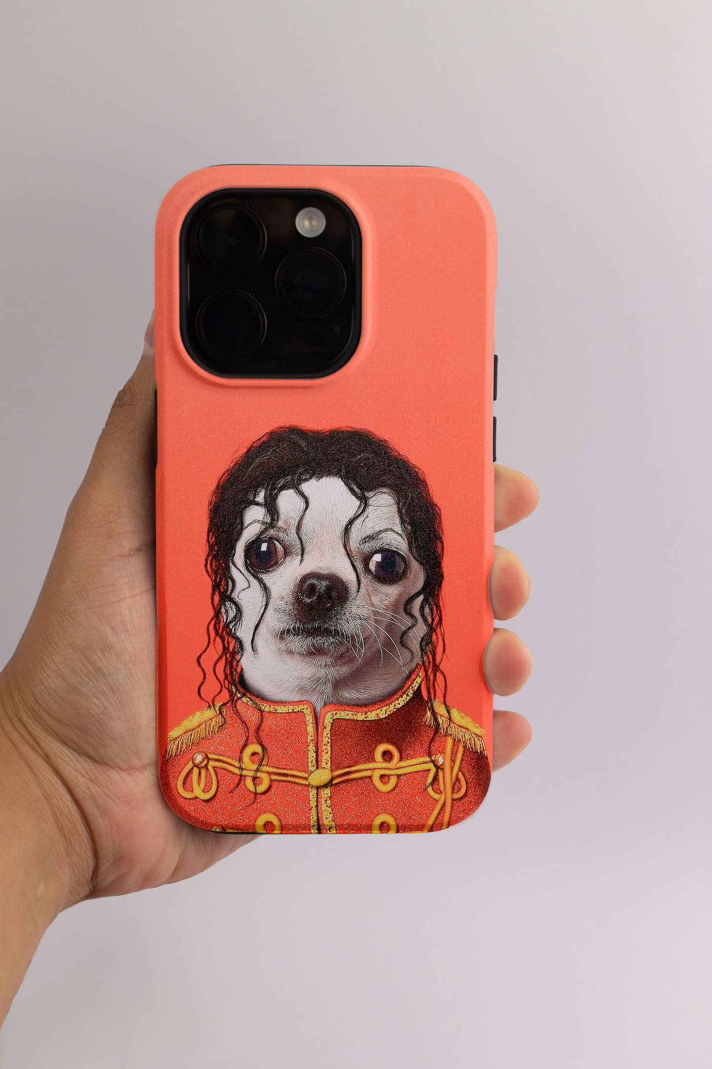Chihuahua Jackson