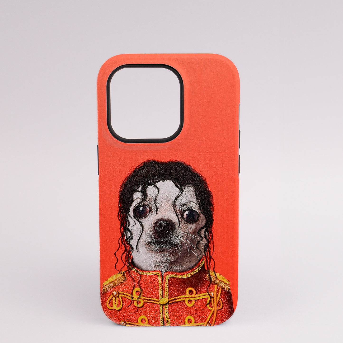 Chihuahua Jackson