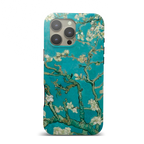 Almond Blossom