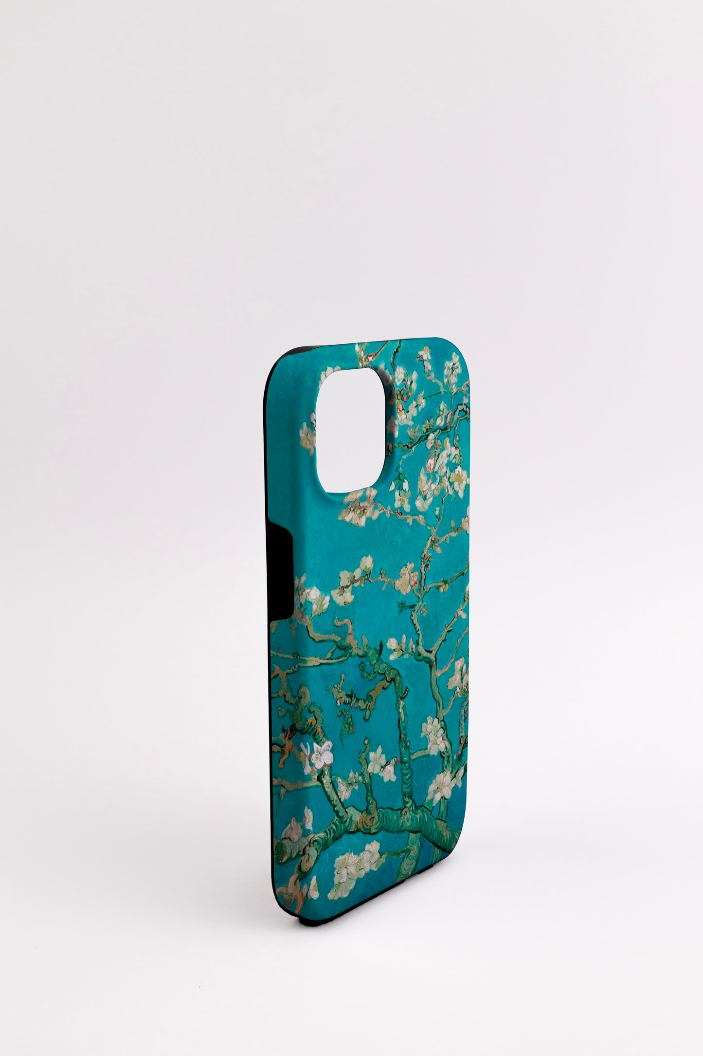 Almond Blossom