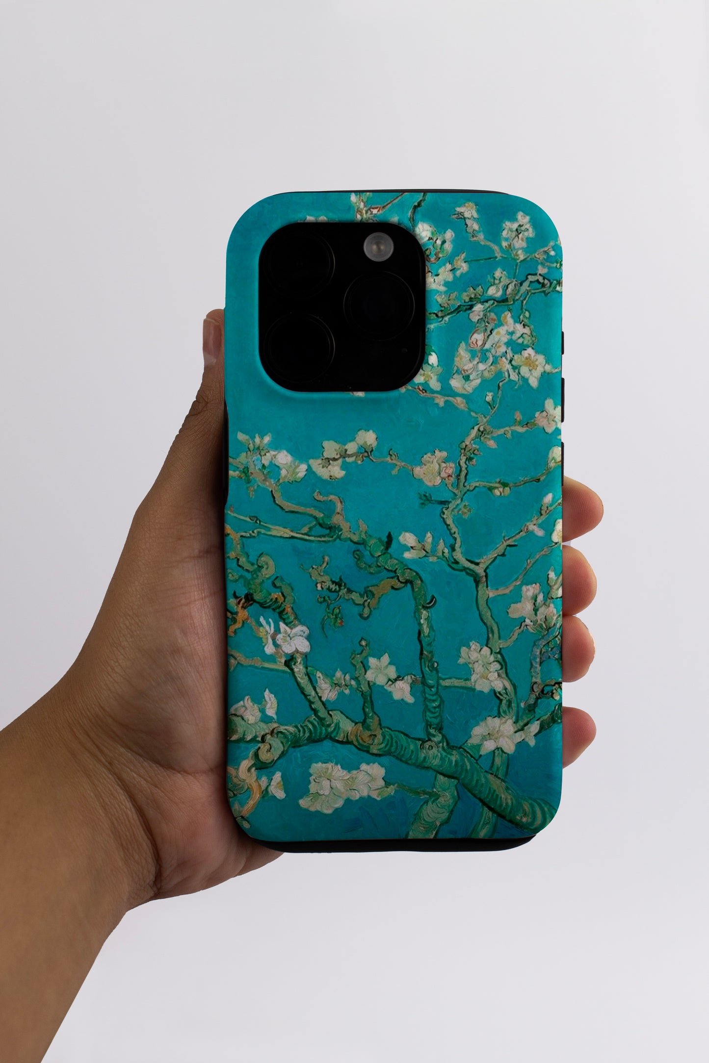 Almond Blossom