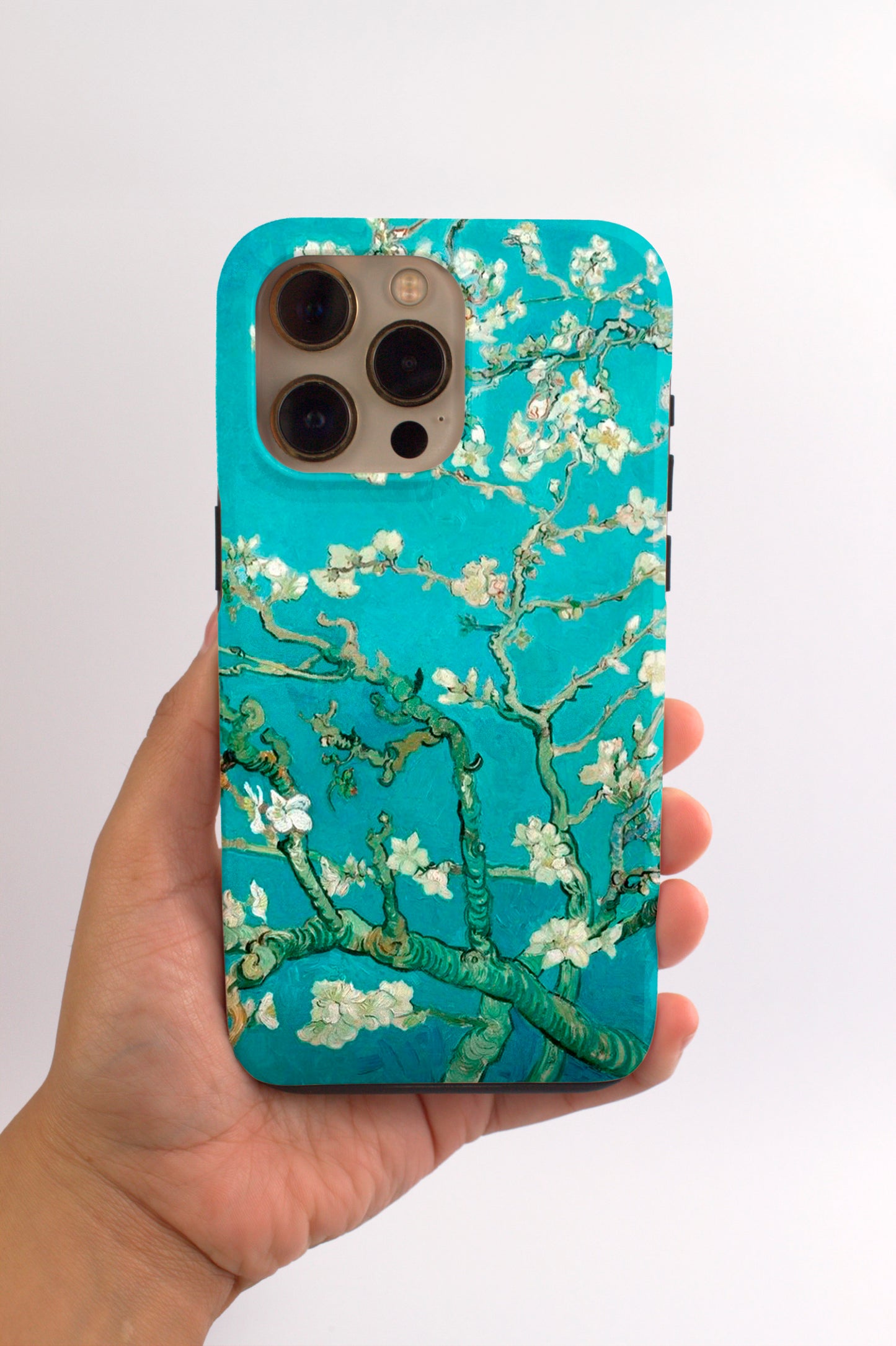 Almond Blossom